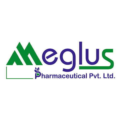 24-MEGLUS PHARMACUTICALS PVT LTD