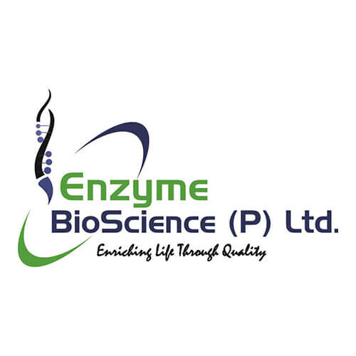 29-ENZYME BIOTECH PVT LTD